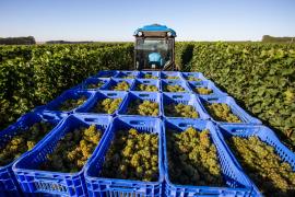 André Fofano - Ambitious Mind