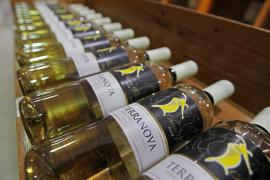 VinícolaTerraNova_GrupoMiolo_Casa Nova_ValeSaoFrancisco_MateusPereiraGOVBA (2)