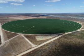 WhatsApp Image 2020-10-02 at 09.35.23