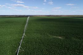 WhatsApp-Image-2020-10-05-at-08.30.53