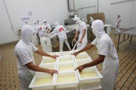 09684b47ff03c50961a62541e154e41b-photo