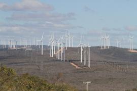 WhatsApp Image 2020-12-14 at 10.08.28