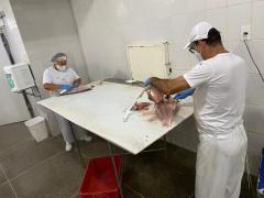 Dumar - Divulgação