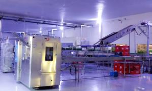 WhatsApp Image 2021-01-06 at 19.56.34