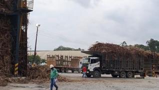 Fotos da visita à Usina União Indústria, município de Primavera, em Pernambuco (29)