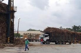 Fotos da visita à Usina União Indústria, município de Primavera, em Pernambuco (29)