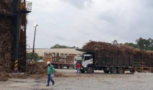 Fotos da visita à Usina União Indústria, município de Primavera, em Pernambuco (29)