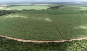 WhatsApp Image 2021-02-26 at 10.21.49