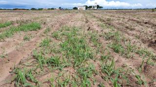 WhatsApp Image 2021-02-26 at 10.22.24 (1)