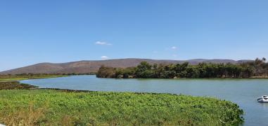 WhatsApp Image 2021-03-22 at 15.12.11