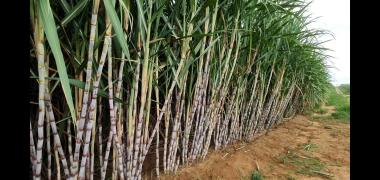 WhatsApp Image 2021-03-22 at 15.12.13 (1)