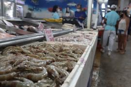 WhatsApp Image 2021-03-31 at 10.48.49