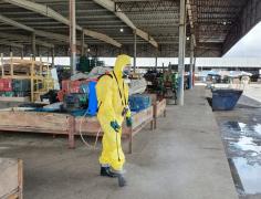 WhatsApp Image 2021-04-25 at 14.15.34