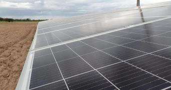 WhatsApp Image 2021-05-07 at 08.32.33 (1)