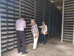 WhatsApp-Image-2021-05-24-at-13.56.47-620x465