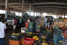 WhatsApp Image 2021-06-15 at 15.41.42