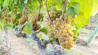 WhatsApp Image 2021-06-29 at 09.23.09 (1)