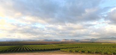 WhatsApp Image 2021-06-30 at 11.18.47 (1)