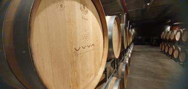 WhatsApp Image 2021-06-30 at 11.18.47