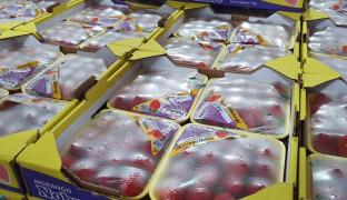 WhatsApp Image 2021-07-01 at 09.59.39