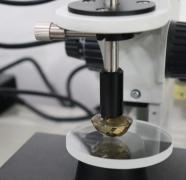 WhatsApp Image 2021-08-09 at 19.07.51