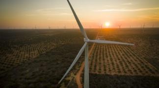 WhatsApp Image 2021-10-29 at 11.34.39