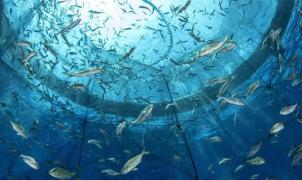 WhatsApp Image 2021-11-16 at 08.39.33