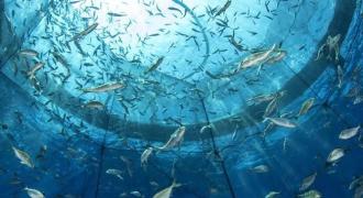 WhatsApp Image 2021-11-16 at 08.41.20