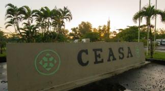 WhatsApp-Image-2021-07-06-at-07.03.12-800x445