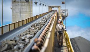 WhatsApp Image 2022-03-24 at 16.37.12