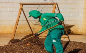 Circuito-do-Lixo-Adubo-organico-e-usado-na-horta-da-cooperativa-_-Ulisses-Dumas_-BAMIN-1-Correio