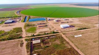 Unidade de beneficiamento e processamento de Quinoa - Divulgacao Floryl (3)