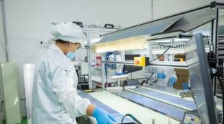 WhatsApp Image 2022-05-10 at 15.57.24