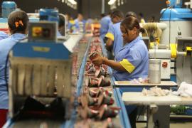 WhatsApp-Image-2022-12-29-at-15.12.19