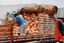 20230324-Ceasa-Matéria-1