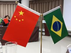 Foto: Daniel Senna/GOVBA