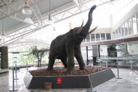 WhatsApp Image 2023-05-09 at 09.41.42