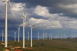 Foto_Mateus Pereira_GOVBA