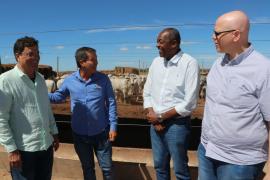 Fotos Mário MarquesSDE (1)