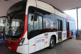 20230704-Lançamento-do-BYD_Ascom_Mário-Marques-13