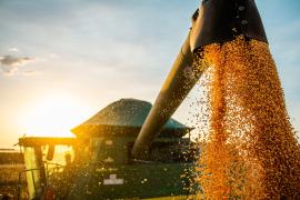 Foto Divulgação Agrovale