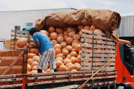 WhatsApp Image 2023-08-24 at 14.14.42