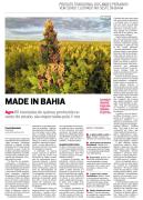 WhatsApp-Image-2023-08-28-at-09.31.25-1