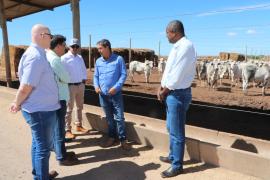 WhatsApp Image 2023-11-17 at 16.11.13