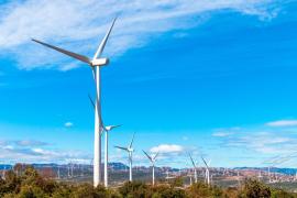 WhatsApp Image 2024-04-04 at 17.43.56