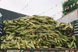 WhatsApp-Image-2024-06-04-at-09.45.55