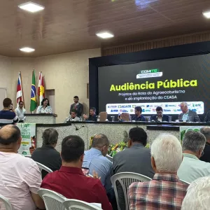 SDE participa de audiência pública e reforça apoio a projetos estratégicos no Território Piemonte Norte do Itapicuru