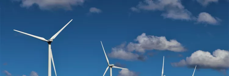 SDE comemora implantação da Política Estadual de Transição Energética na próxima quinta-feira (24)