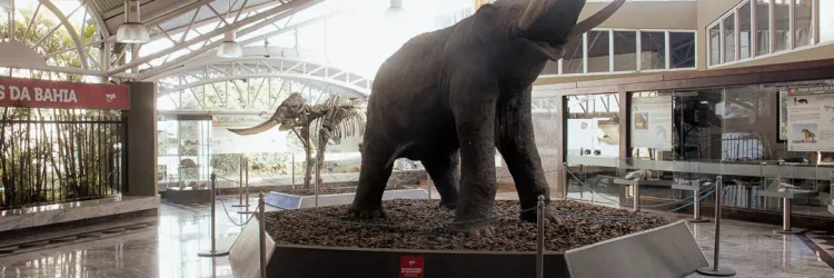 Programação de fevereiro: MGB mantém abertura às 10h