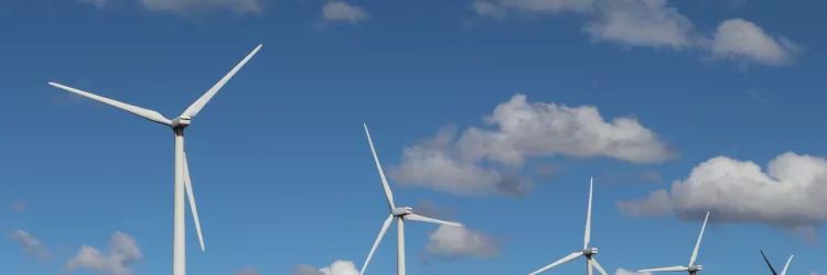 Bahia consolida liderança nacional em energias renováveis com avanços em eólica e solar